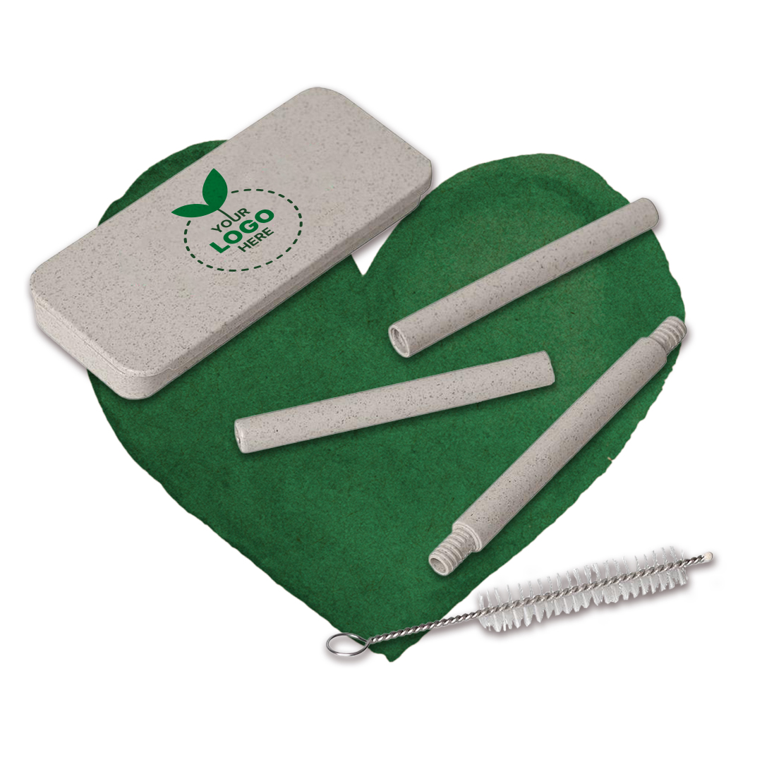 Eco-Friendly Pocket Straw Set